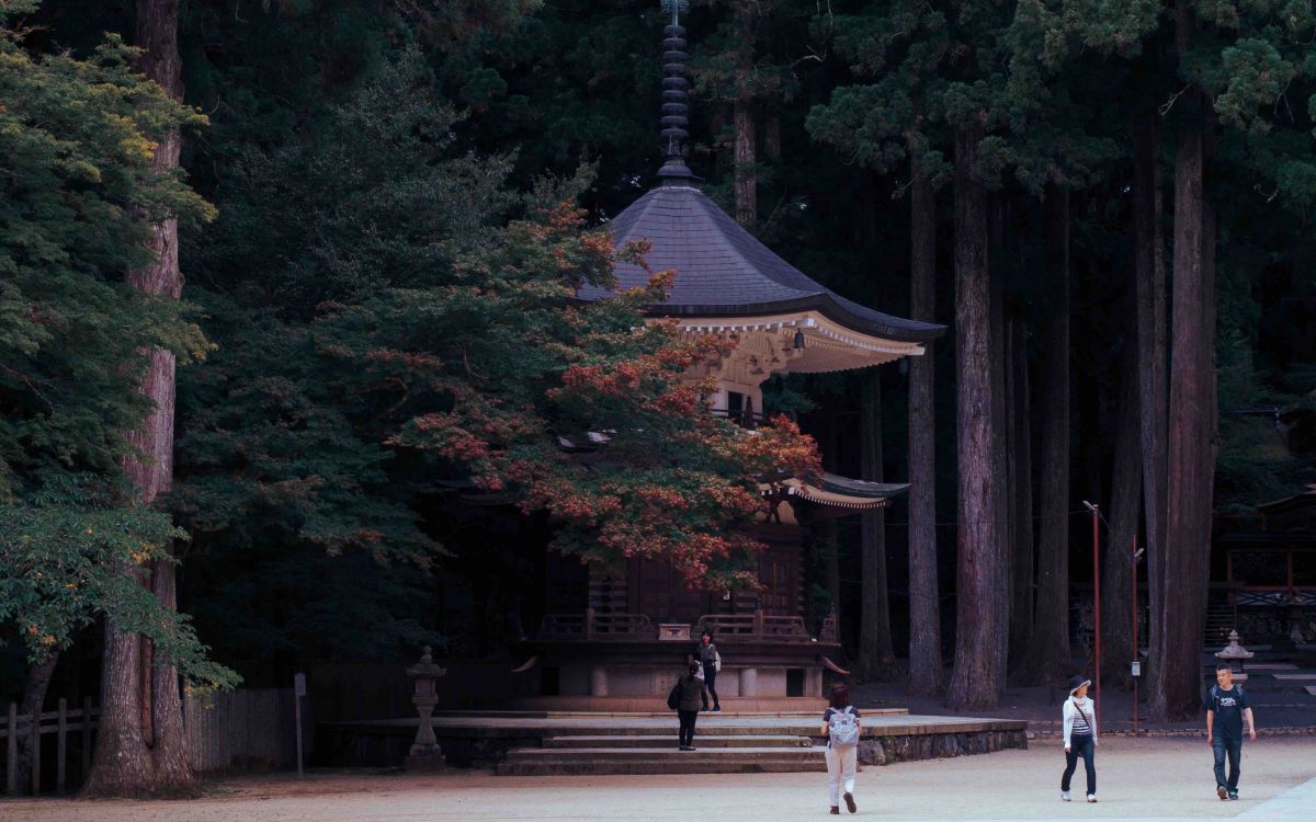 Koyasan, il Monte Sacro Koyasan, il Monte Sacro